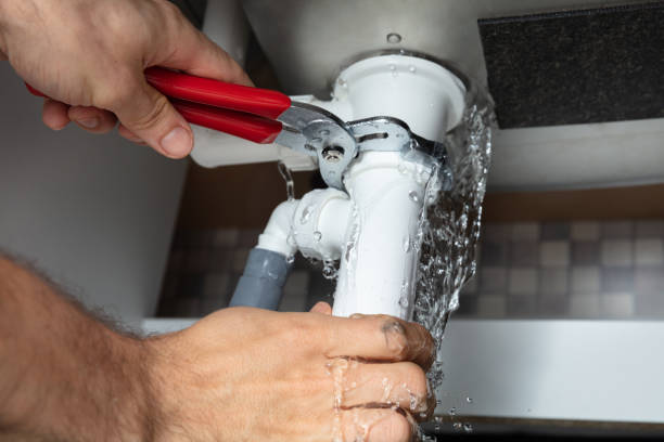 Best Basement water damage restoration  in Ronceverte, WV