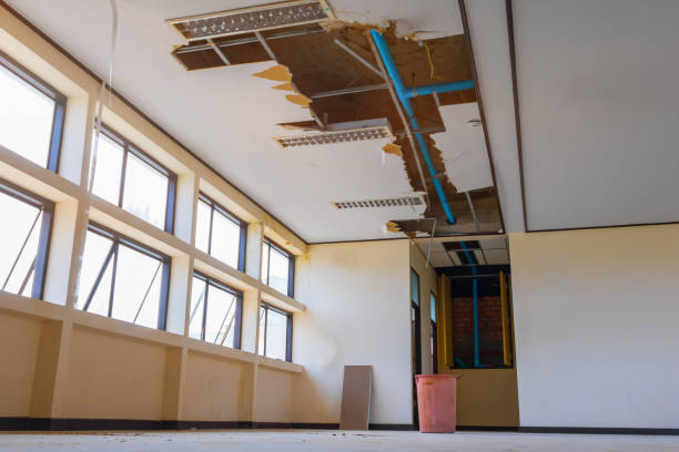 Best Water damage restoration experts  in Ronceverte, WV