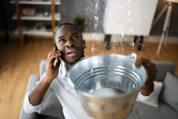 Best Flood restoration services  in Ronceverte, WV