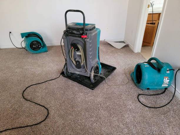 Best Fire Damage Restoration  in Ronceverte, WV