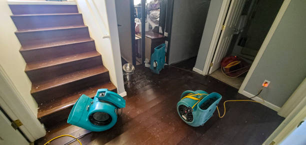 Best Fire Damage Restoration  in Ronceverte, WV