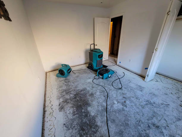 Best Basement water damage restoration  in Ronceverte, WV
