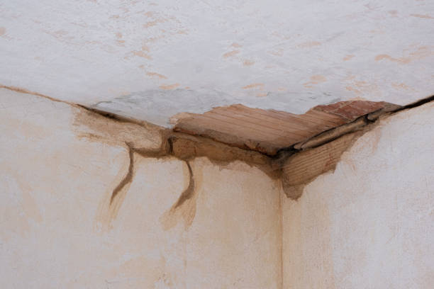Best Commercial water damage restoration  in Ronceverte, WV