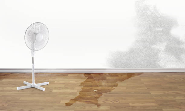 Best 24/7 water damage repair  in Ronceverte, WV