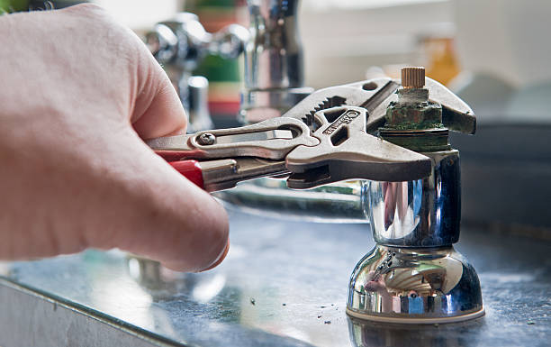 Best Ceiling water damage repair  in Ronceverte, WV