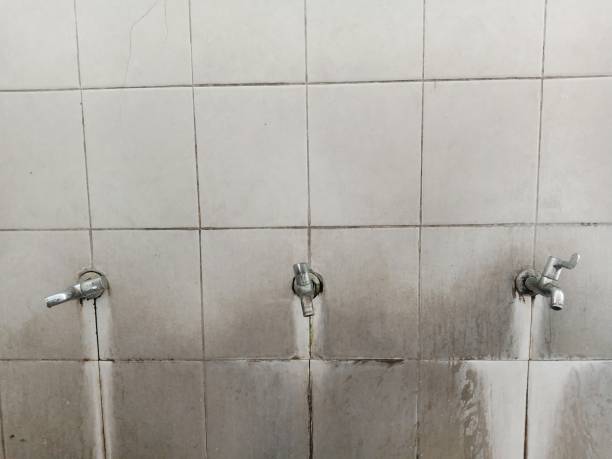 Best Water damage restoration near me  in Ronceverte, WV